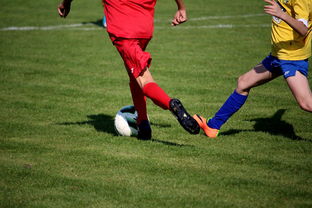 mk体育下载-“拳王争霸：四川省体育馆拳击赛将诞生新的世界拳王”