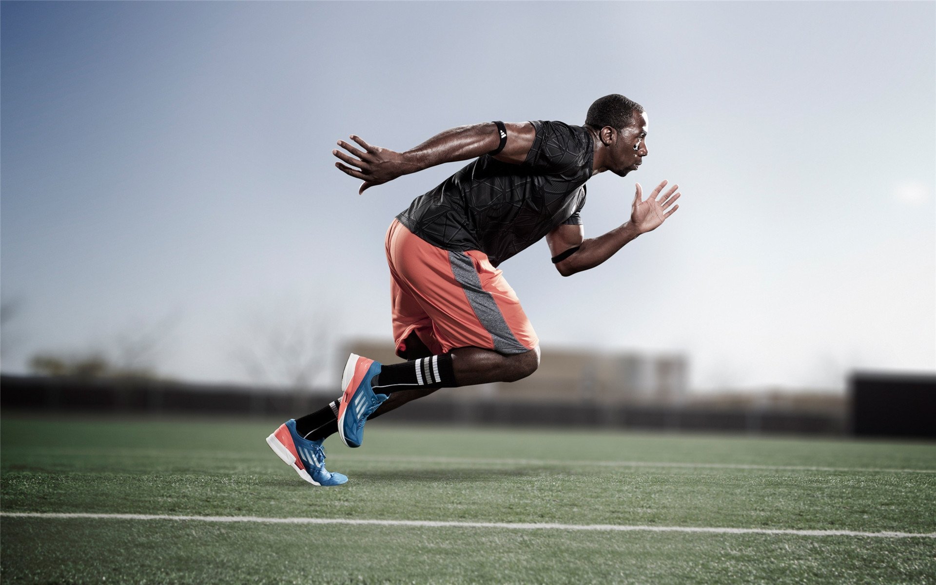 技术雷达图显示加拿大游泳优势，加拿大游泳金牌