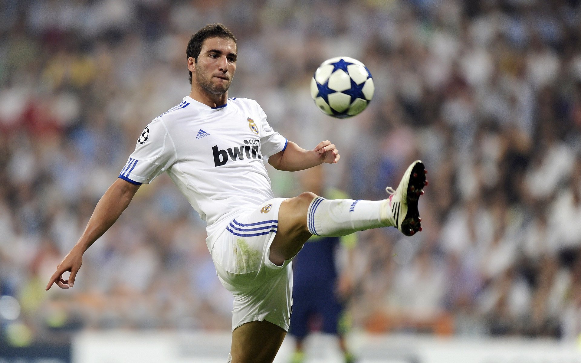 “马科斯·莫奇的传球与防守结合，推动阿根廷美洲狮队实现攻守兼备”