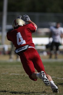 mk体育网址-校园足球支持学生裁判项目拓展多元职业通路，普通高校足球专业学生裁判能力的培养