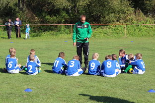 mk体育平台登录入口-欧洲杯总冠军之争：战术智慧与个人能力的较量，欧洲杯冠军百度百科